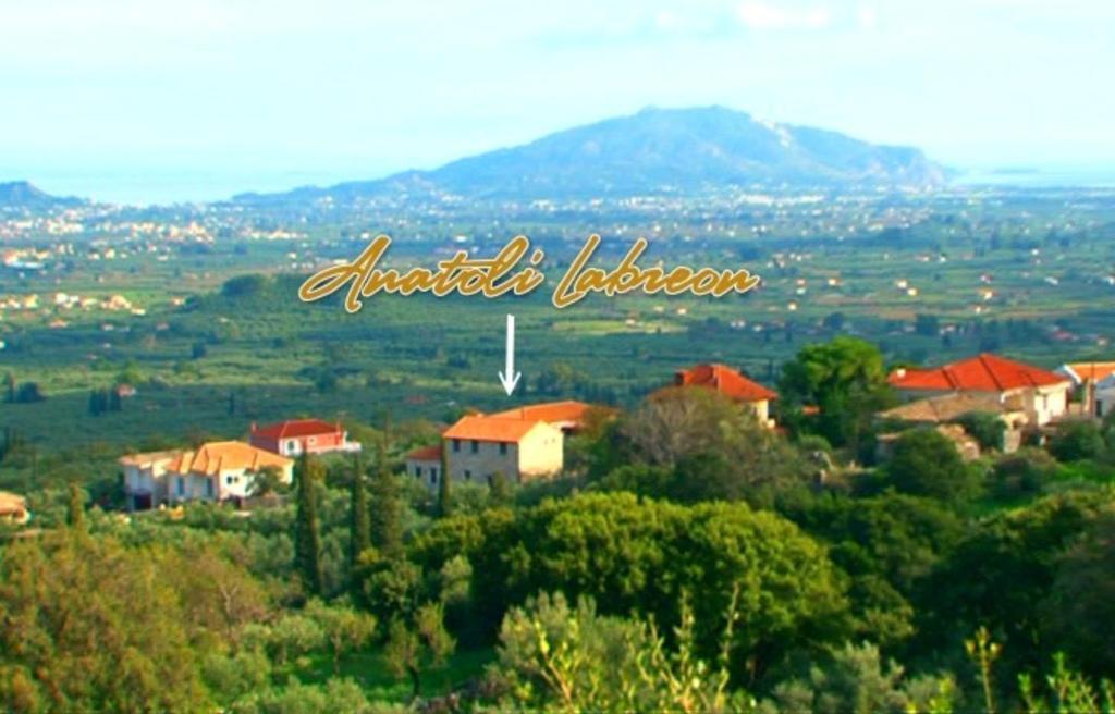 Hotel Anatoli Labreon Agia Marina  Esterno foto