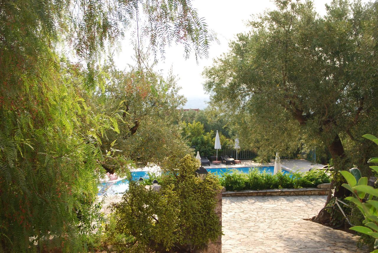Hotel Anatoli Labreon Agia Marina  Esterno foto