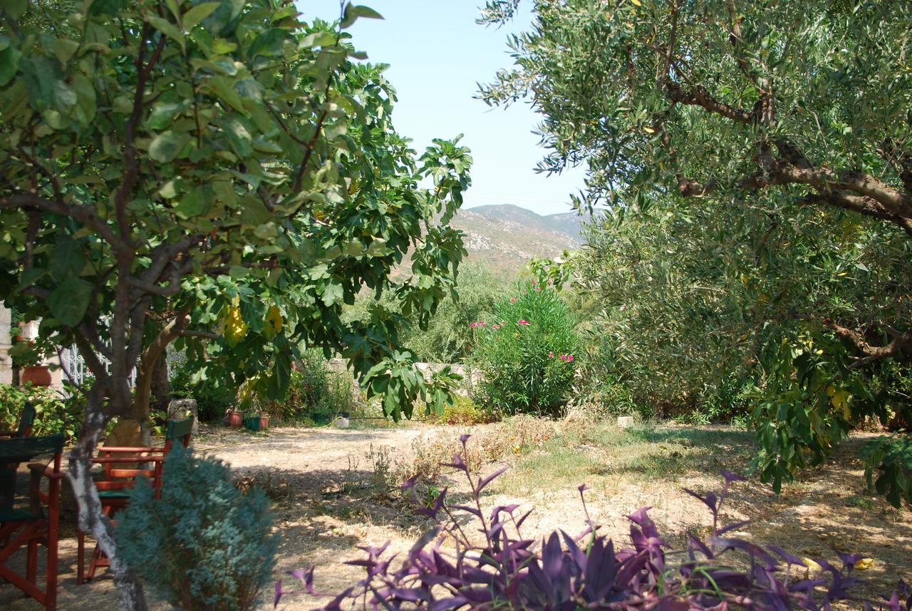 Hotel Anatoli Labreon Agia Marina  Esterno foto