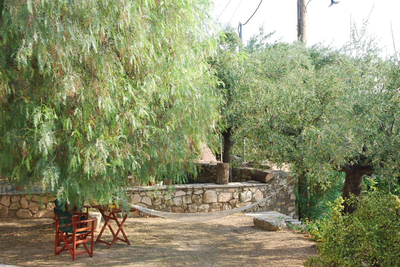 Hotel Anatoli Labreon Agia Marina  Esterno foto