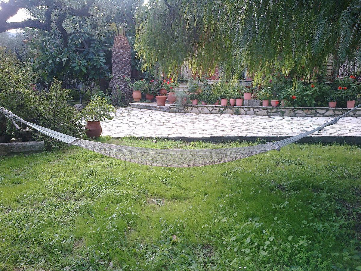 Hotel Anatoli Labreon Agia Marina  Esterno foto